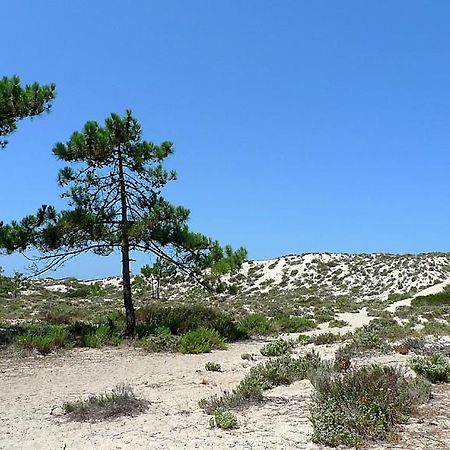 Comporta Beach House Zewnętrze zdjęcie